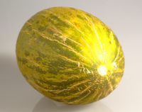 Melón Piel de Sapo